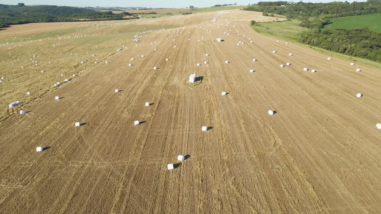 Bir tarladaki silaj balyalarının drone görüntüsü