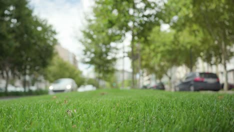 Innenstadt-Gartenpark,-Umgeben-Von-Einer-Straße-Mit-Vorbeifahrenden-Autos