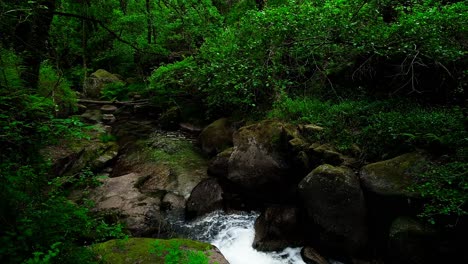 Wasserfall-In-Den-Bergen-Im-Dschungel