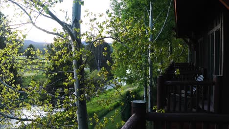 dense tree foliage on wooden balcony of a house near river and mountains