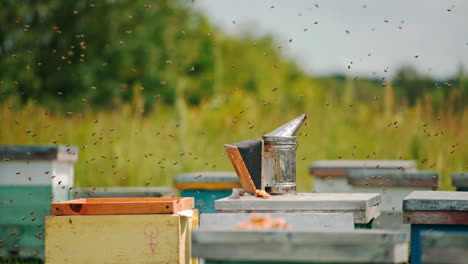 multiple bees flying wildly over their hives. beekeeper comes to take away his instruments left before on the beehive.