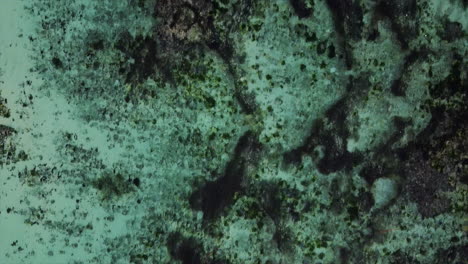 textura del fondo marino submarino