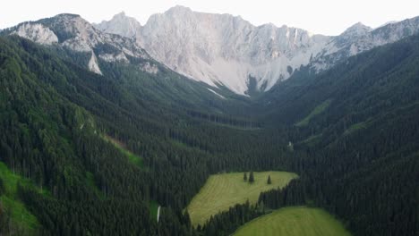 vast forests in front of the high austrian mountains