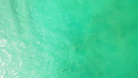 beautiful turquoise water texture of shallow lagoon near shore of tropical island in bali, copy space