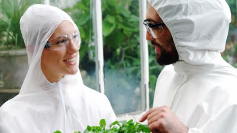 hombre y mujer interactuando mientras miran una planta en maceta