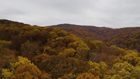 Follaje-Otoñal-Y-árboles-Desnudos-En-El-Bosque-Nacional-De-Ozark-Arkansas,-Plataforma-Rodante-Aérea-Baja