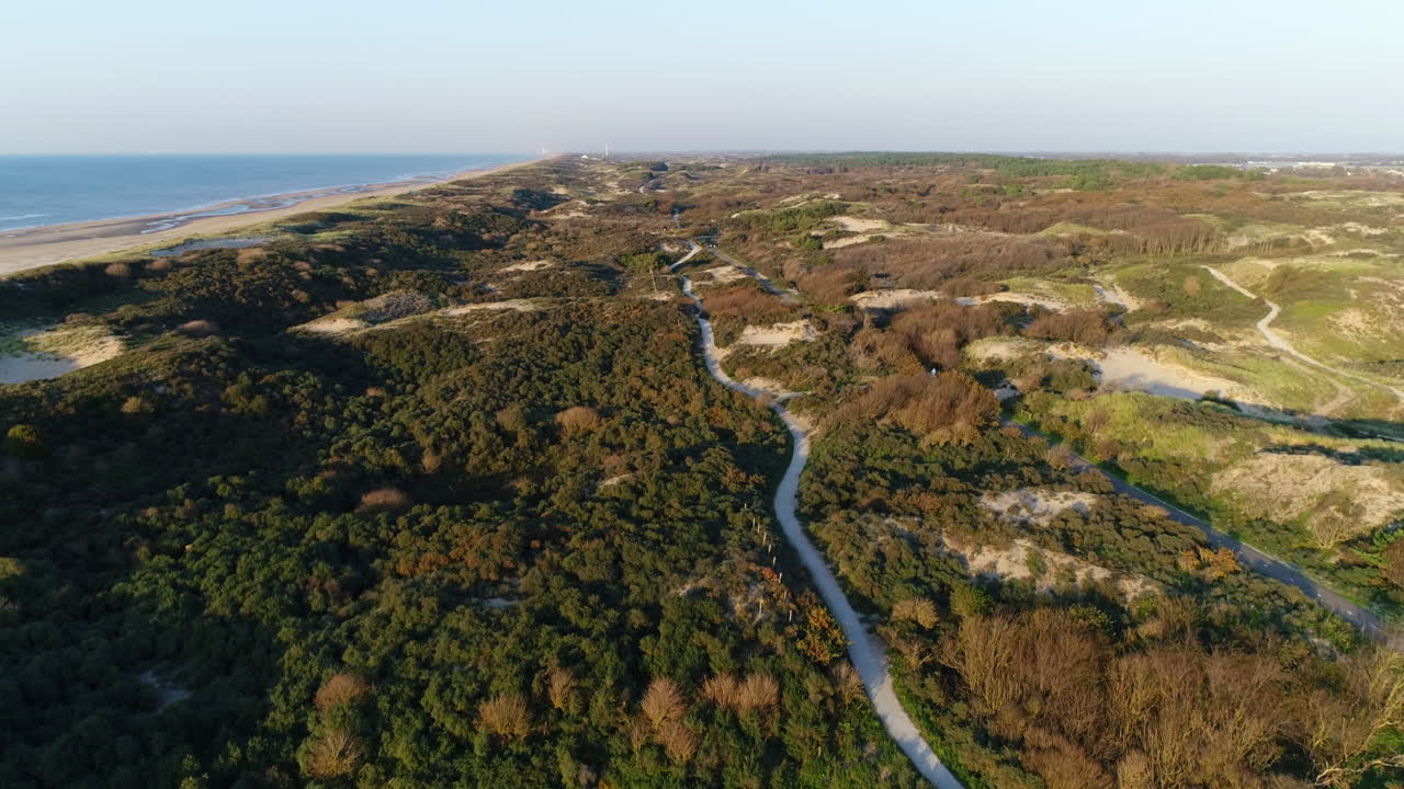 carretera en alta mar con una exuberante vegetación en un día soleado de verano en reeuwijkse plassen, gouda, países bajos