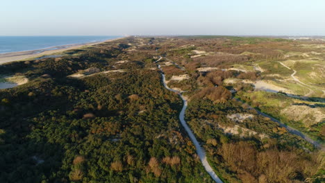 offshore road with lush vegetation on a sunny day in summer in reeuwijkse plassen, gouda, netherlands