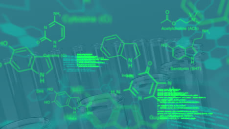 Animation-of-data-processing-and-chemical-formula-over-empty-test-tubes-in-lab