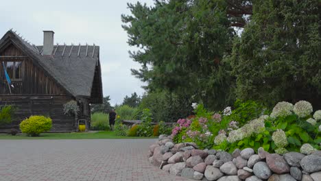 old wooden traditional estonian building in saaremaa that has an estonian flag on it waving in slow motion during summer time. the house has a straw or rye roof and poppy stone road in front of it.