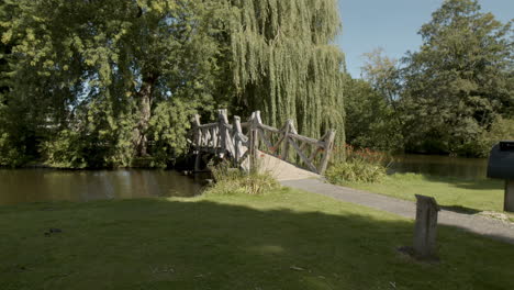 small bridge in beautiful park in summer