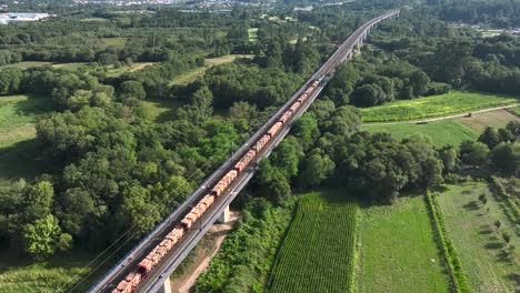 aerial view of long freight train passing by the fields and green trees in summer