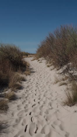 footprints on a sandy path through dunes