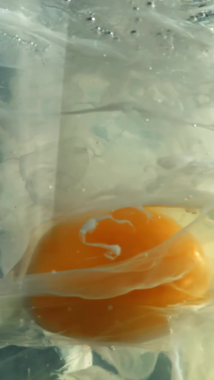 Close-up of Raw Egg Yolk and White Dispersing in Water