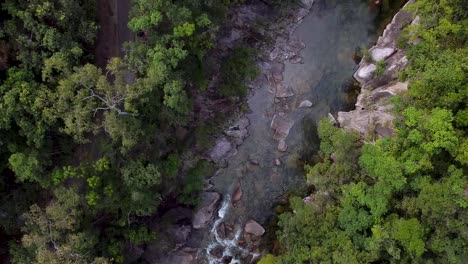 aerial top down view along behana gorge surrounded by trees