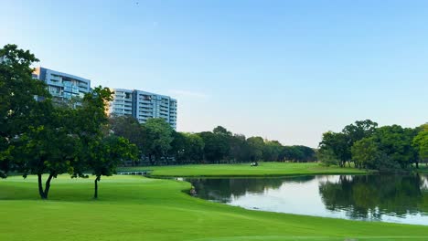 lush greenery and tranquil water reflections