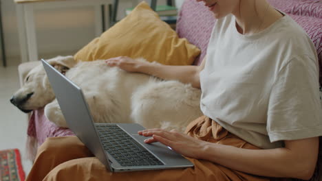 woman using laptop and petting dog on sofa