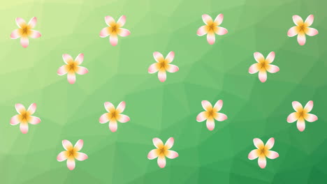 animación de flores blancas girando sobre un fondo verde