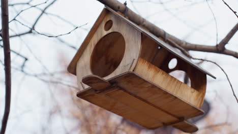 wooden birdhouse with round entry holes secured to bare tree branch using blue rope, captured during autumn season with soft natural light and background blur highlighting quiet outdoor setting