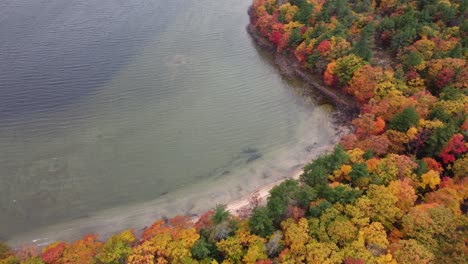 a breathtaking aerial view of an autumn forest beside a crystal-clear lake, showcasing the beauty of nature's fall colors