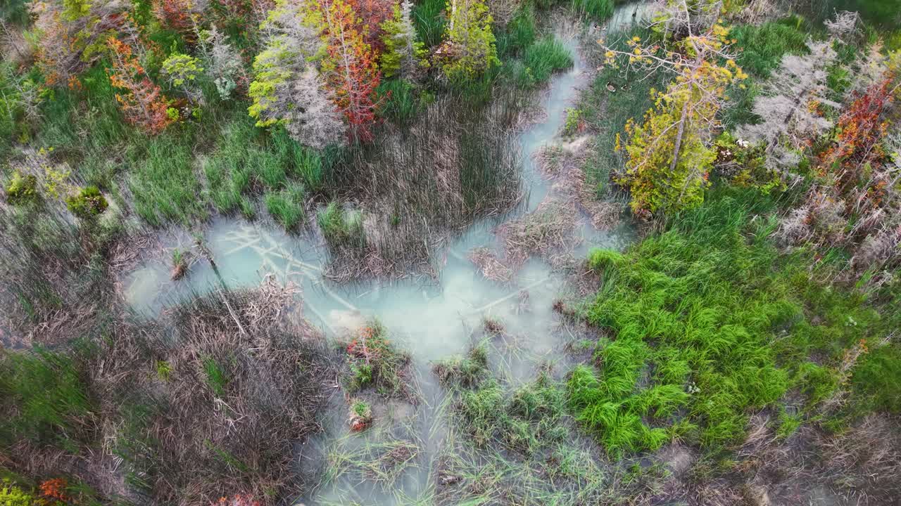 Aerial drone view of a colorful forest with a mix of green, red, and brown trees surrounding a winding stream