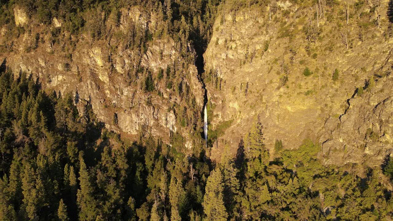 elevación aérea sobre corbata blanca cascada de deshielo escondida entre montañas rodeadas de pinos al atardecer, patagonia argentina