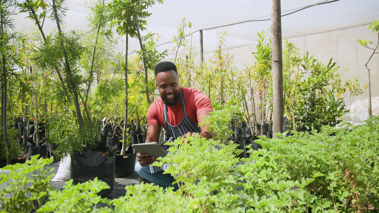 African American man using tablet while inspecting plants in greenhouse nursery