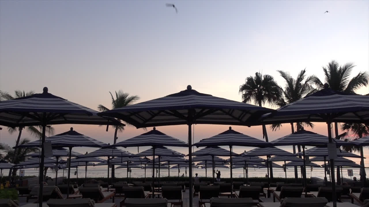 호텔 리조트의 야외 수영장 주변에 파라솔과 의자 소파