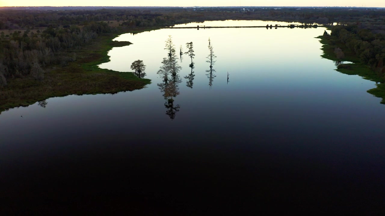 Sparse cypress trees stand in the still waters of Lake Hancock as dusk sets in. The tranquil scene captures the serene beauty of nature. Ideal for environmental documentaries.