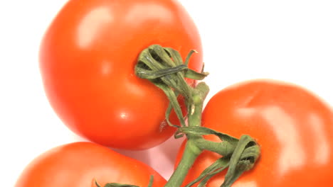 tomatoes 2