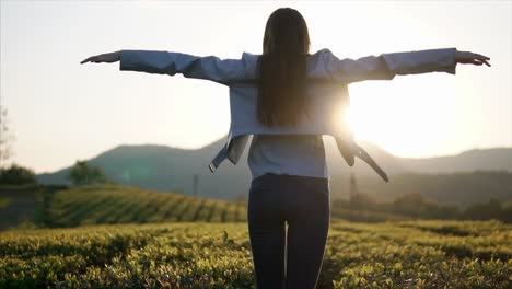 woman enjoying a sunset view in a tea plantation