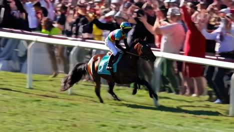 horse race