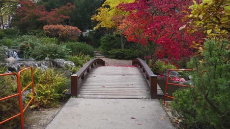 Spaziergang-Durch-Einen-Japanischen-Park-Im-Herbst