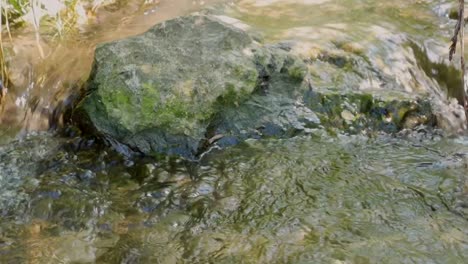 Waterfall-with-torrential-river