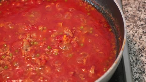 salsa de pasta de tomate casera hirviendo a fuego bajo en una sartén. disparo deslizante de cerca. en tiempo real, sin gente