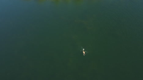 person swimming in a lake from above