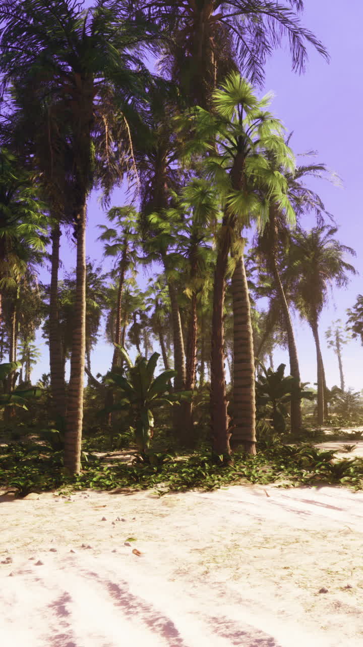 Beautiful tropical beach with palm trees and white sand