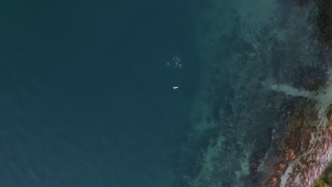 Unique-drone-view-turning-and-falling-from-above-towards-a-group-of-scuba-divers-underwater