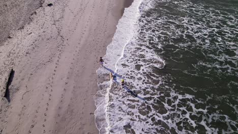 drone sigue a una pareja y un perro caminando por la orilla