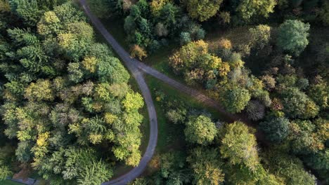 Top-orbit-view-of-jogging-track-in-the-urban-forest-of-Rapperswil-Jona-in-northeastern-Switzerland