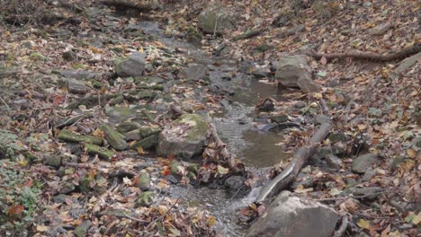 Agua-Que-Fluye-A-Través-De-Rocas-Y-Hojas-De-Otoño-En-Wissahickon