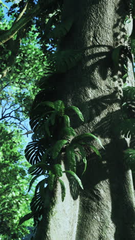 close up of a tree trunk with ferns and monstera plants