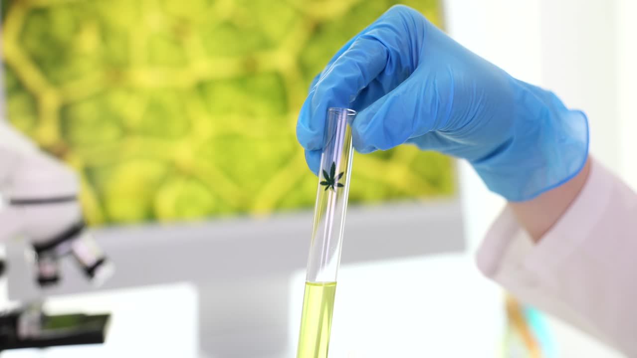 Scientist Conducting Cannabis Research in a Laboratory