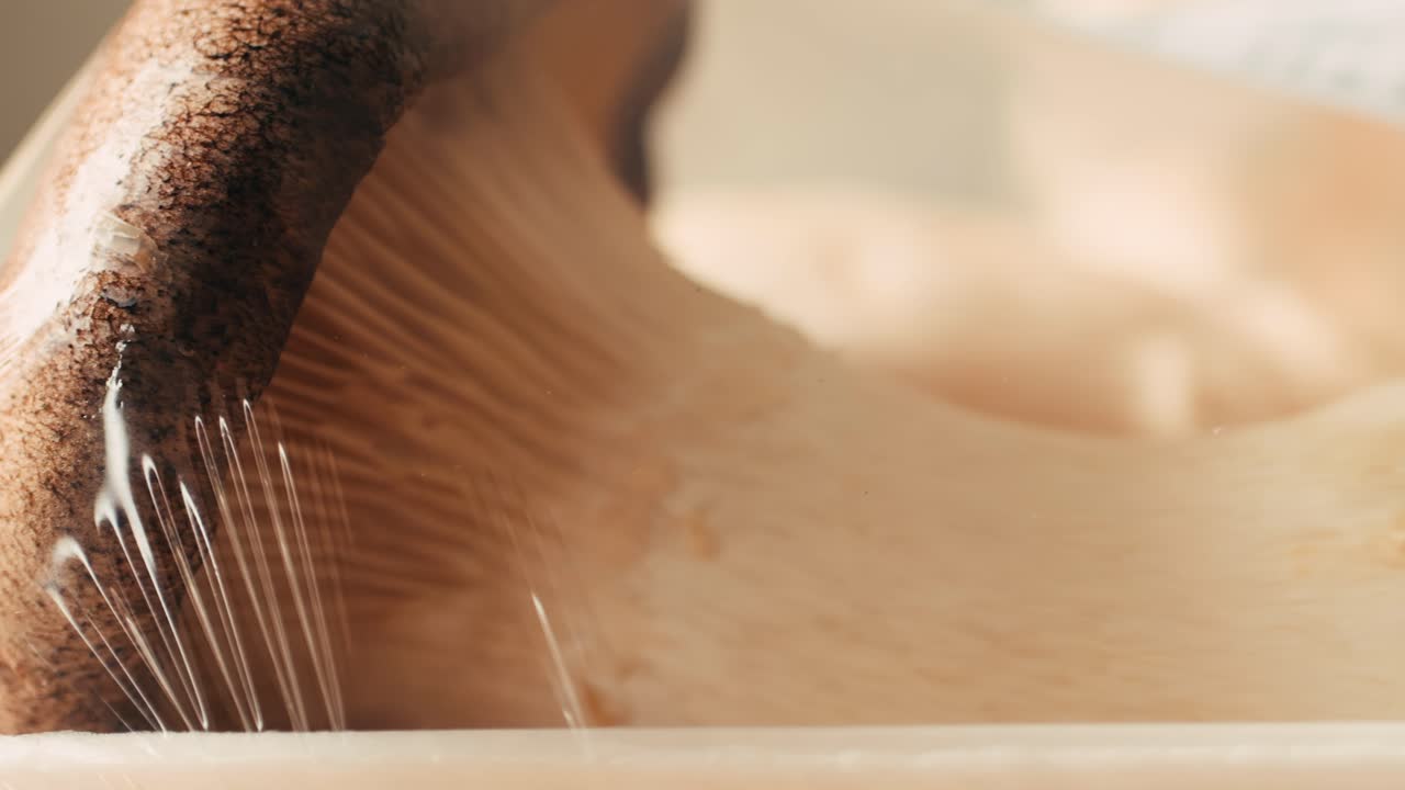 Close-up of a mushroom in plastic wrap