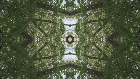 greenery kaleidoscope using forest imagery from wissahickon creek, philadelphia, #28