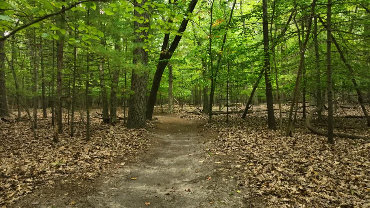 지역 경로를 통해 사랑스럽고 울창한 산책의 시점