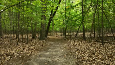 point of view shot of a lovely and lush hike through a local trail