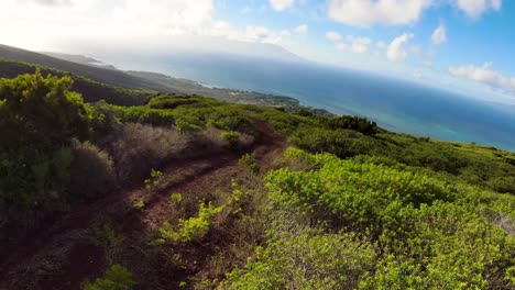 Flying-low-enjoying-the-breathtaking-aerial-view-from-a-path-that-cuts-through-the-lush-undergrowth-towards-the-turquoise-blue-ocean