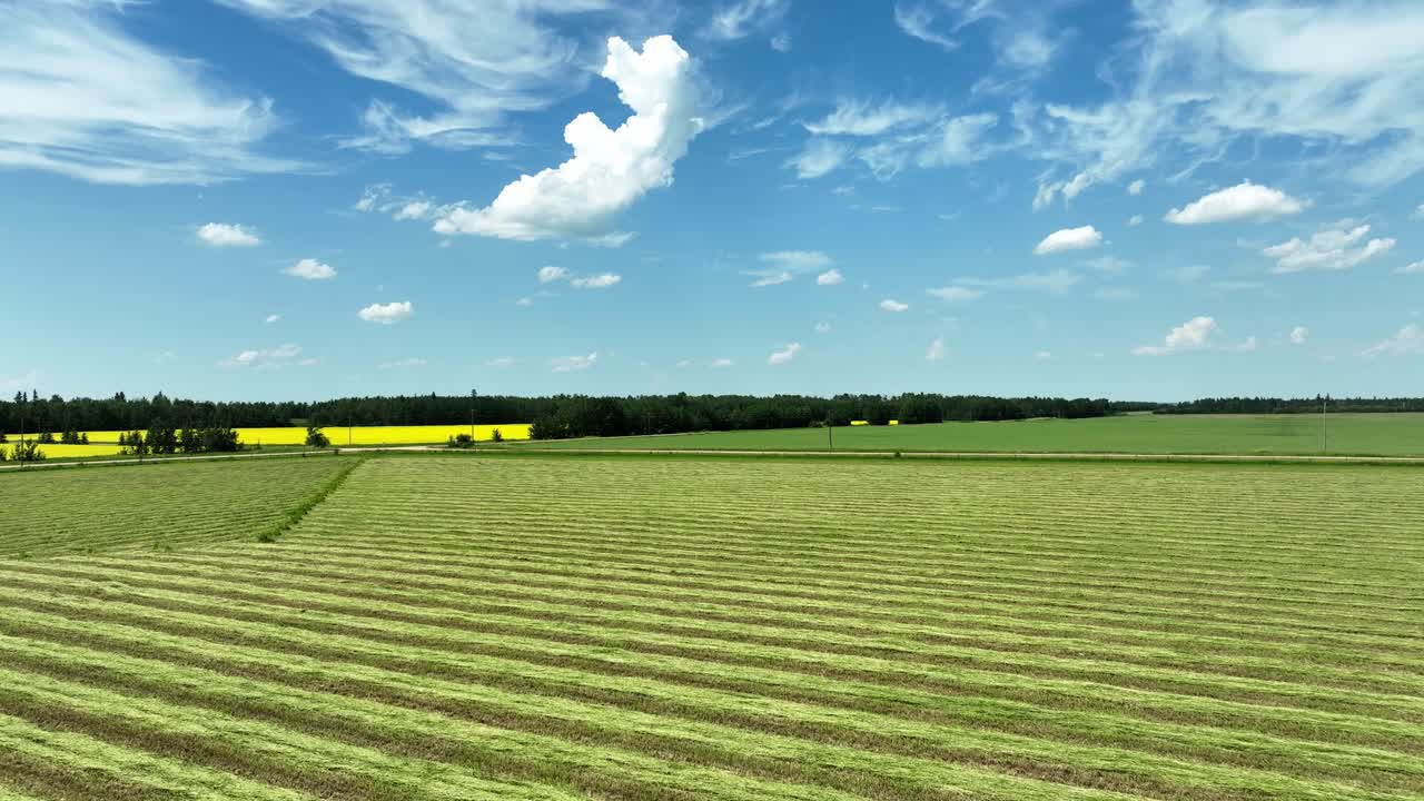 Drohne fliegt über ein Feld mit frisch gemähtem Heu.