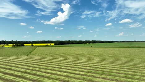 Drone-flying-over-a-field-of-freshly-cut-hay